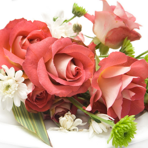 Hd-172133-ascw172133