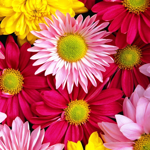 Hd-146280-ascw146280