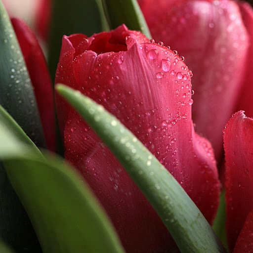 Hd-165157-ascw165157