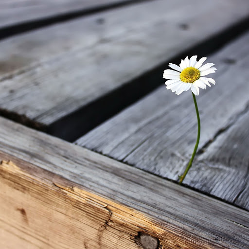 Hd-159370-ascw159370