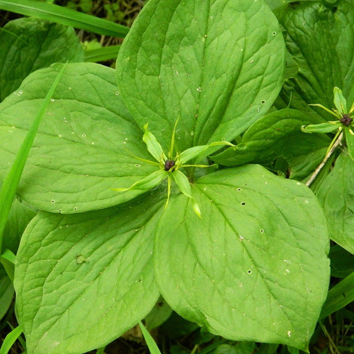 Hd-163592-ascw163592