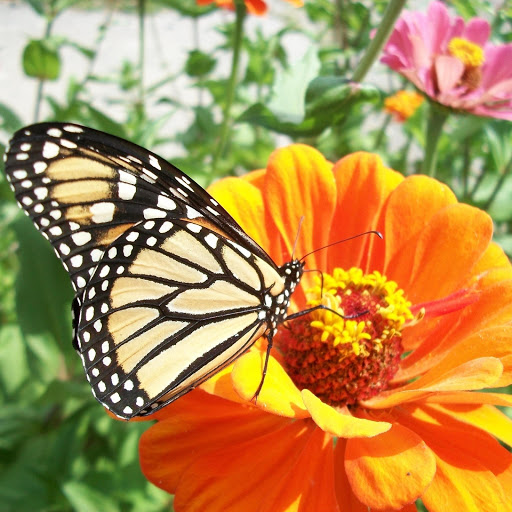 Hd-175684-ascw175684