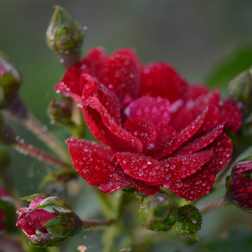 Hd-152641-ascw152641