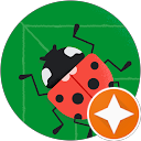 Image Google de MrThethie .