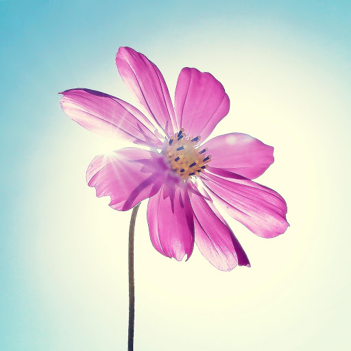 Hd-136577-ascw136577