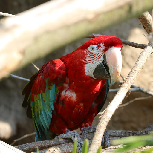 Hd-158249-ascw158249