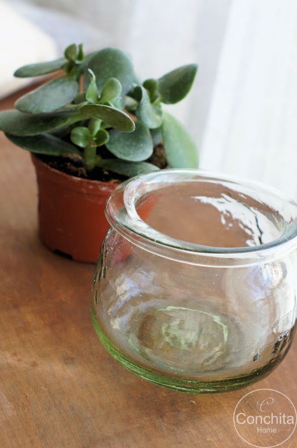 [DSC03784-Kopiowanie4.jpg]