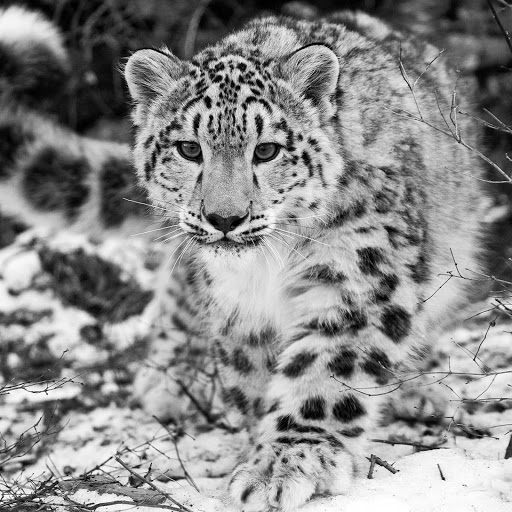 Hd-153255-ascw153255