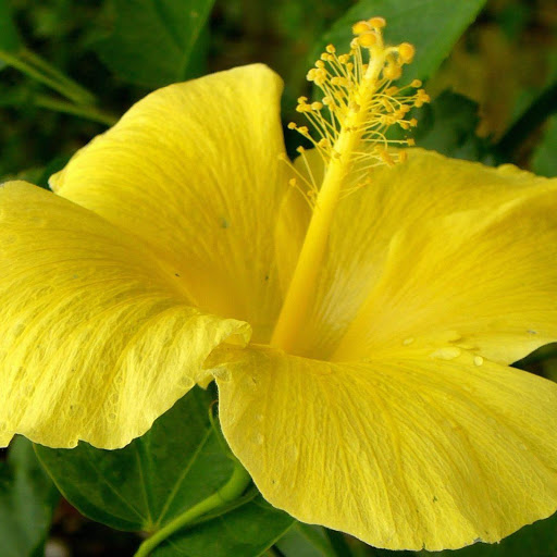 Hd-140630-ascw140630