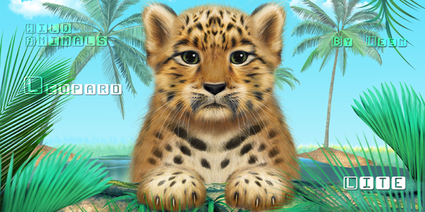 Wild Leopard Lite(圖6)-速報App