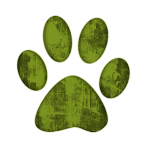 Cat Ringtones.apk 1.0