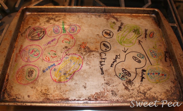 [SD6%255B5%255D.jpg]