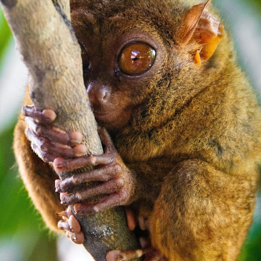 Hd-176568-ascw176568