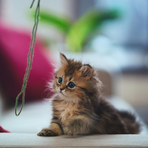 Hd-169092-ascw169092