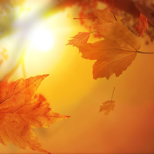 Hd-159070-ascw159070