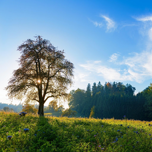 Hd-142079-ascw142079