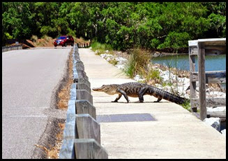03a8d - Causeway- Gator crossing - I can beat the traffic