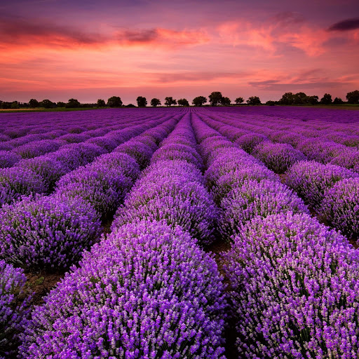 Hd-180504-ascw180504