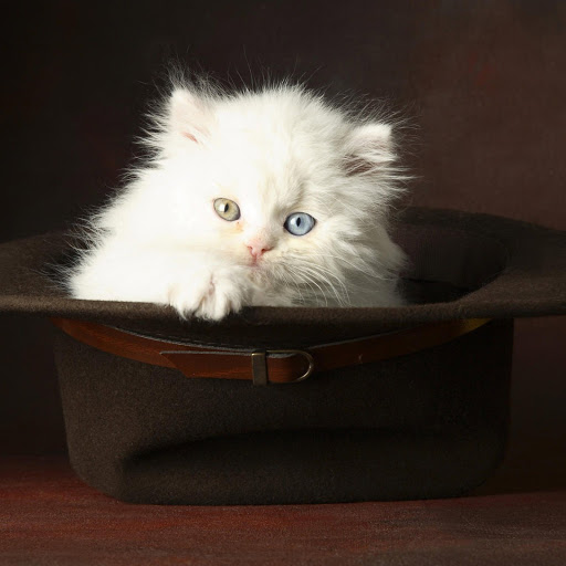 Hd-145763-ascw145763