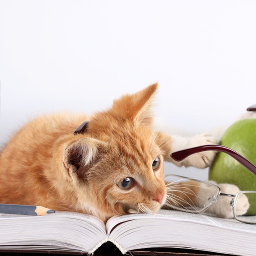 Hd-167859-ascw167859