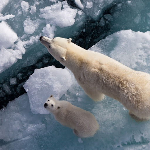 Hd-157186-ascw157186