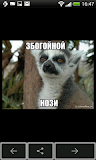 Узбагойся