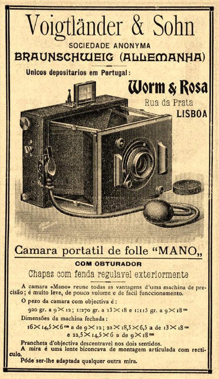 [1905-Worm--Rosa17.jpg]