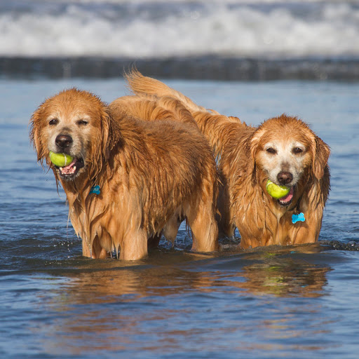 Hd-157507-ascw157507