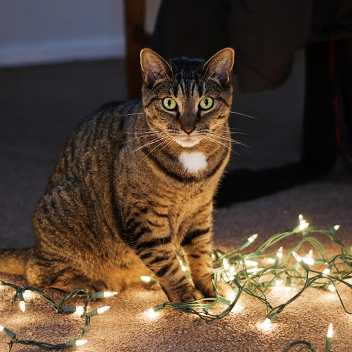 Hd-175340-ascw175340