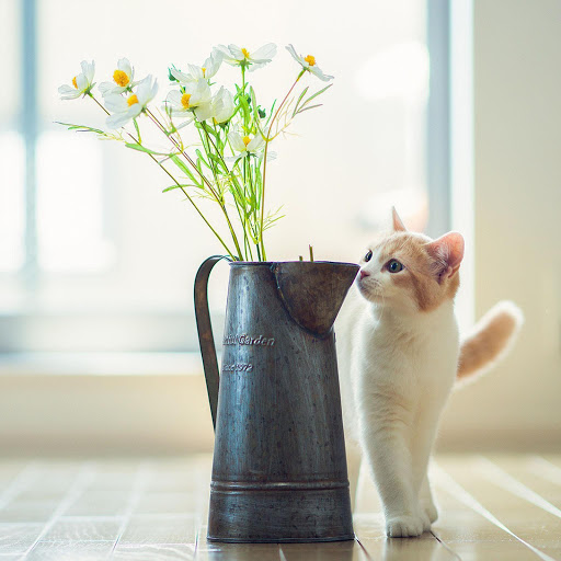 Hd-135551-ascw135551