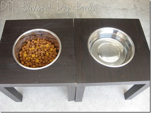 Cheap elevated hotsell dog bowls