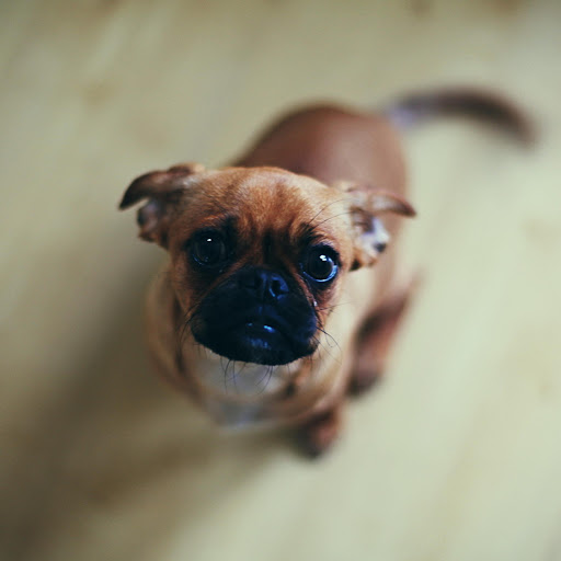 Hd-158968-ascw158968