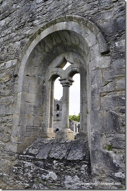 Cong. Ruinas de Cong Abbey - DSC_0359