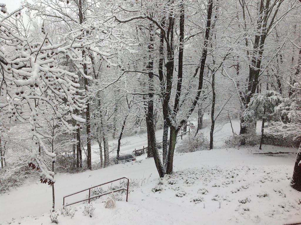 [IMG_1428%255B4%255D.jpg]