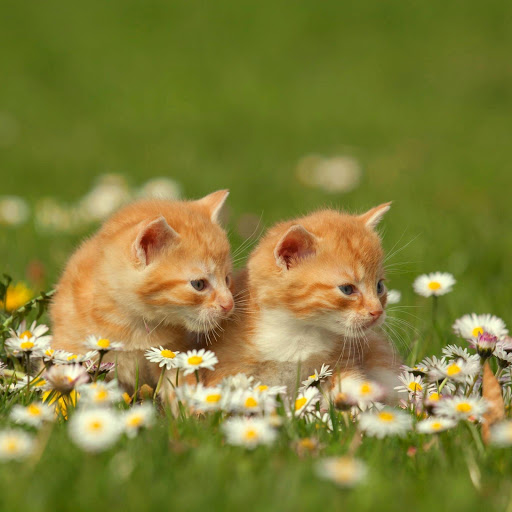 Hd-164483-ascw164483