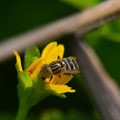 Hd-156057-ascw156057