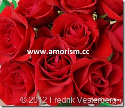 DSC02475.JPG Röda rosor blommor (1) beskuern med amorism och Fredrik.jpg 