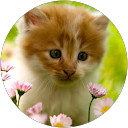 Image Google de Anne Marie Tourdias