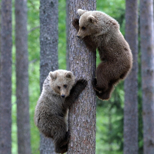 Hd-132940-ascw132940