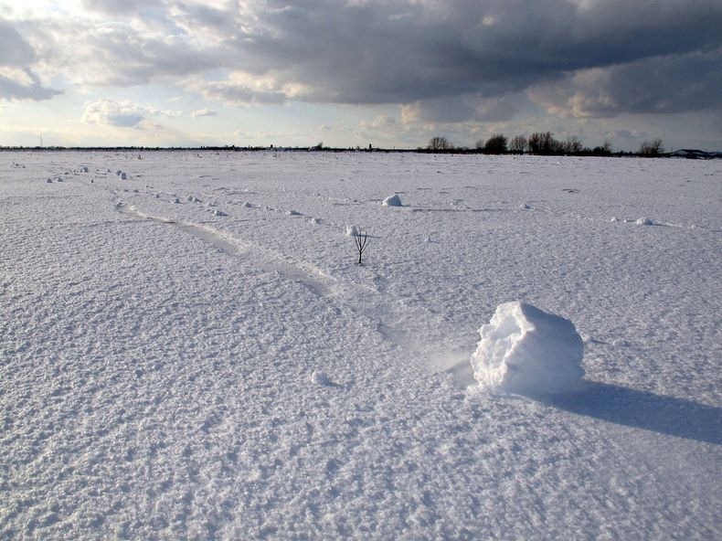 snow-roller-1 snow-roller-1