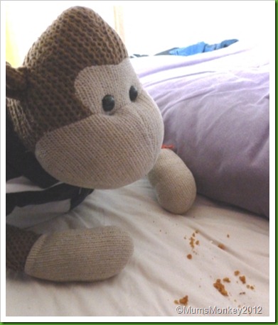 crumbs in bed