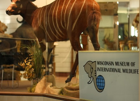 Wisconsin Museum of International Wildlife Stills (21)REsized