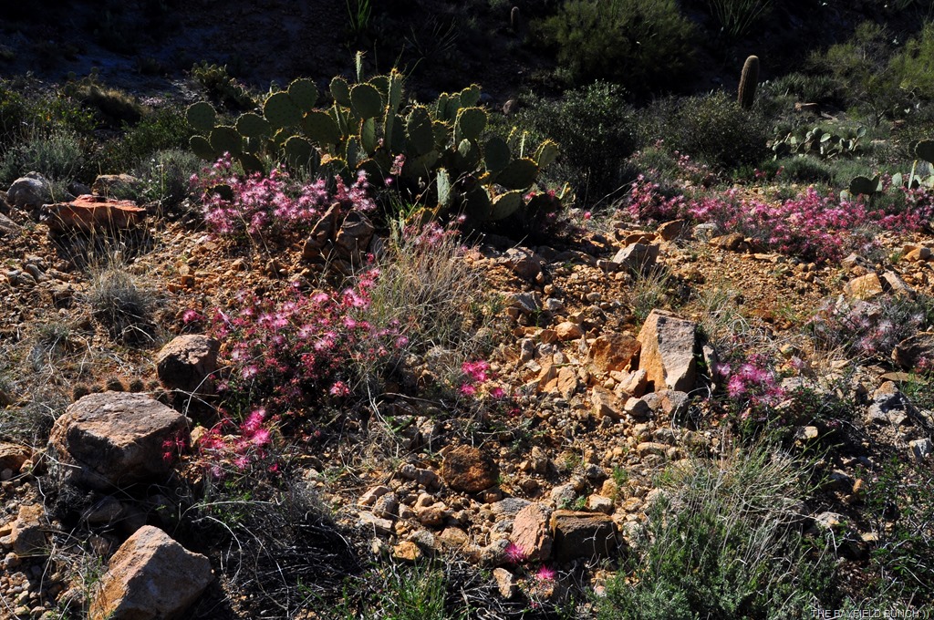 [DSC_0034%255B4%255D.jpg]