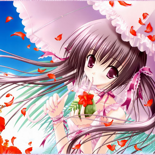 Hd-170585-ascw170585