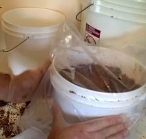 [clip_image004%255B3%255D.jpg]