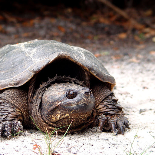 Hd-155971-ascw155971