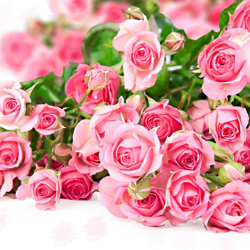 Hd-170520-ascw170520