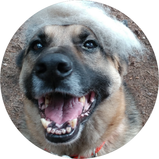 Torch Lake Cafe in Torch Lake Restaurant menu and reviews