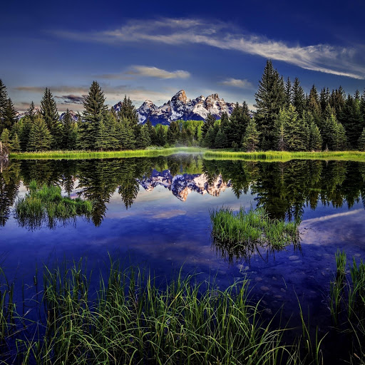 Hd-171635-ascw171635