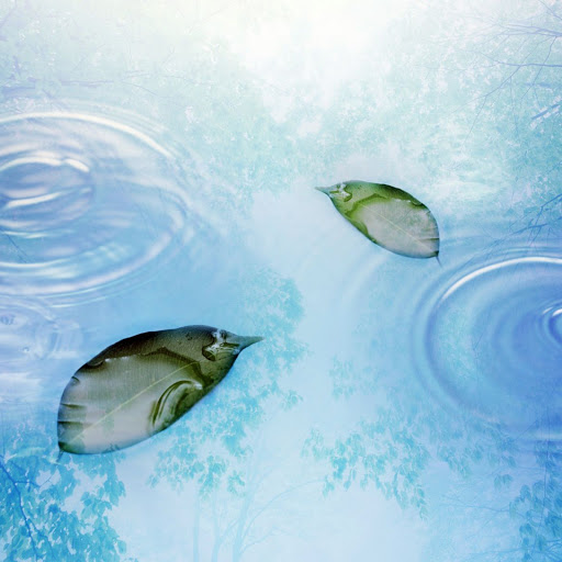 Hd-141870-ascw141870